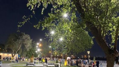 الجمل الأكثر استخداماً بالألمانية