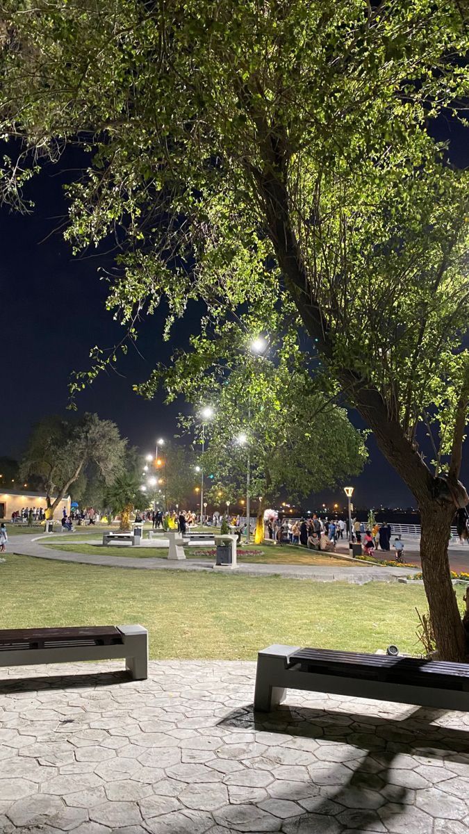 الجمل الأكثر استخداماً بالألمانية