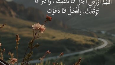 خلفيات موبايل فخمة راقيه 2026